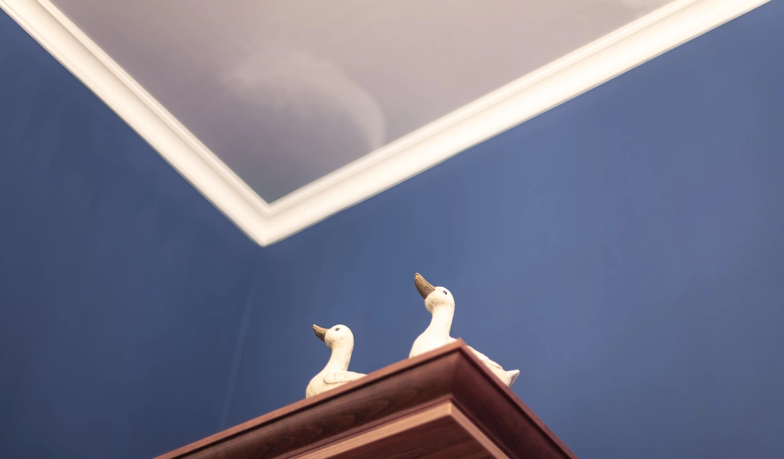 Wiener Originale GANS